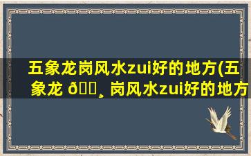 五象龙岗风水zui
好的地方(五象龙 🌸 岗风水zui
好的地方在哪里)